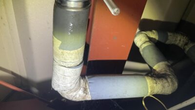 IMG_1192.jpeg